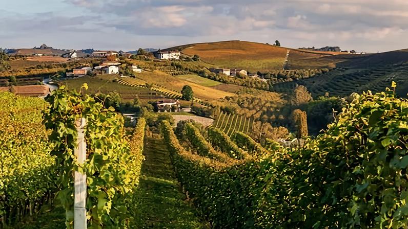 Vinhos, chocolates e carros europeus mais baratos na Austrália com acordo UE