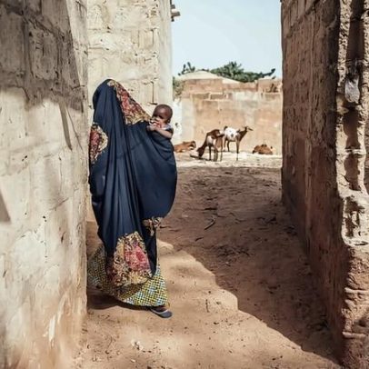 Não sabemos o que perdemos: impactos da conservação após o fechamento da USAID