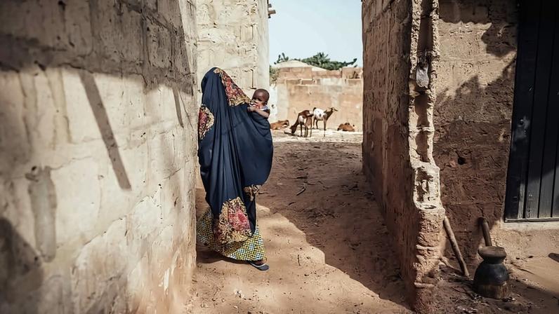 Não sabemos o que perdemos: impactos da conservação após o fechamento da USAID