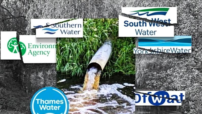 Water firms have been under scrutiny for their handling of the sewage crisis.