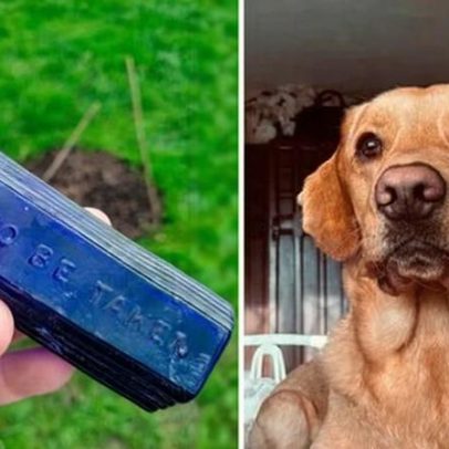 Cão encontra possível ligação com homicídio notório do século XIX em Devon