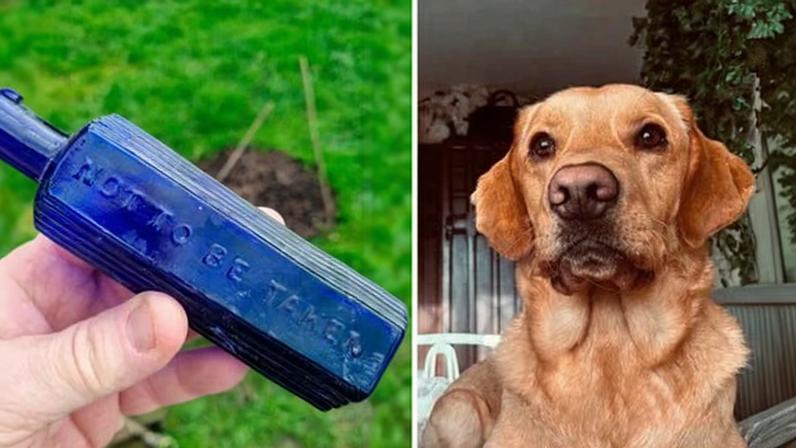 Cão encontra possível ligação com homicídio notório do século XIX em Devon