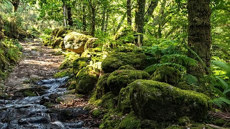 Peneda-Gerês national park in Portugal, which is designated a site of community importance.