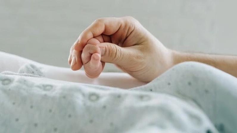 ‘Fetuses are widely exposed to Pfas via umbilical cord blood.’ Photograph: Olga Rolenko/Getty Images
