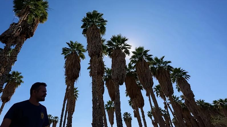 Calor extremo nos EUA agrava incêndios e abastecimento de água