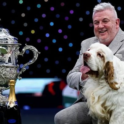 Channel 4 sob fogo após condenação por crueldade animal de vencedor do Crufts