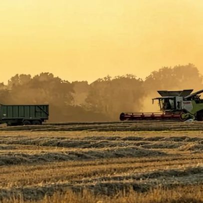 Reino Unido precisa estocar alimentos para choques climáticos ou guerras