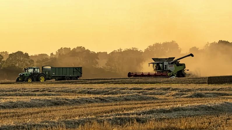 Reino Unido precisa estocar alimentos para choques climáticos ou guerras
