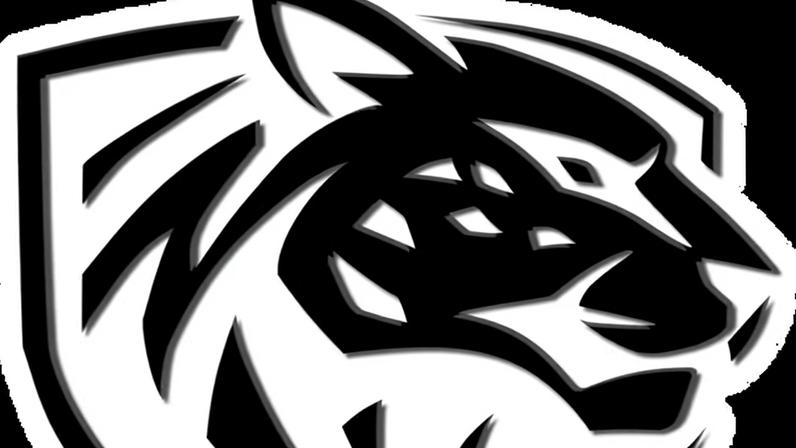 Ilbirs eSports vs Rune Eaters: estatísticas e resultado de 16/03/2026