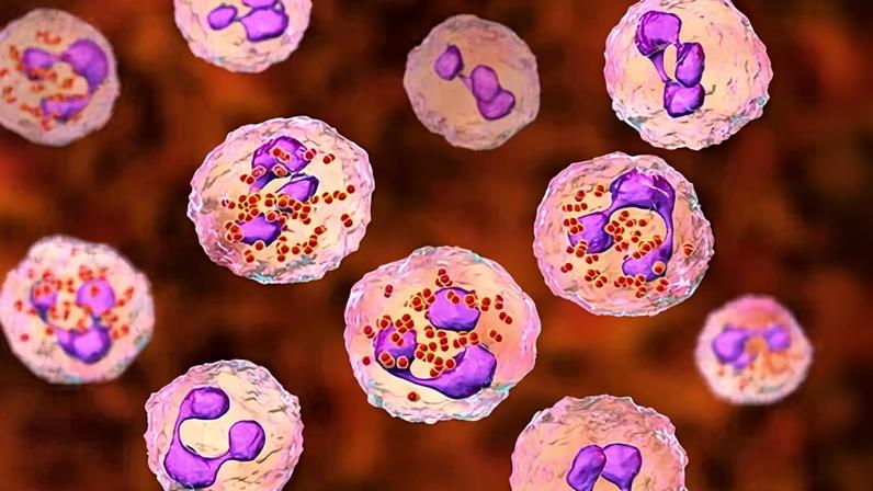 Especialistas estudam ampliar elegibilidade da vacina contra meningite após surto em Kent