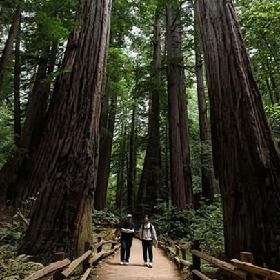 Serviço Florestal dos EUA muda sede de Washington para Salt Lake City