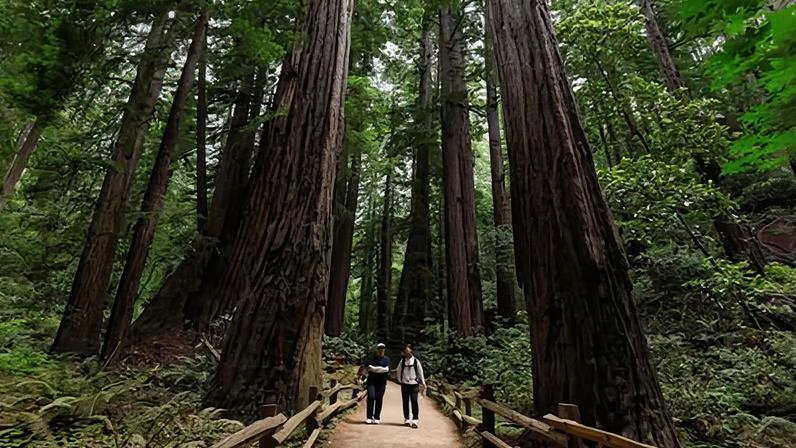 Serviço Florestal dos EUA muda sede de Washington para Salt Lake City