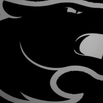 FURIA Esports x Ninjas in Pyjamas: estatísticas e resultado de 01/04/2026