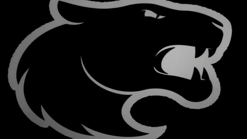 FURIA Esports x Ninjas in Pyjamas: estatísticas e resultado de 01/04/2026