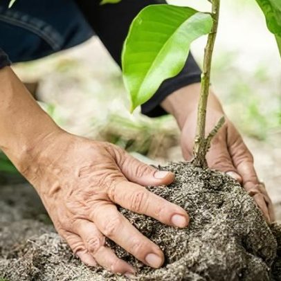 Financiamento para iniciativas comunitárias verdes