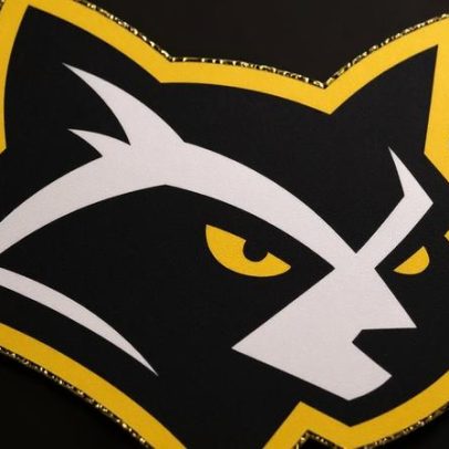 Procyon Gaming vs Folha Amarela: estatísticas e resultado