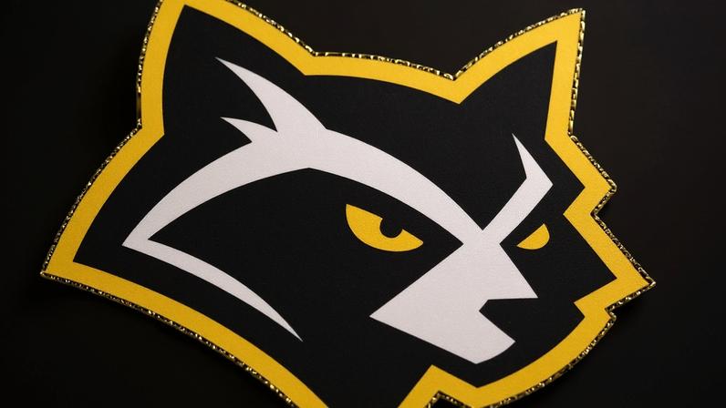 Procyon Gaming vs Folha Amarela: estatísticas e resultado