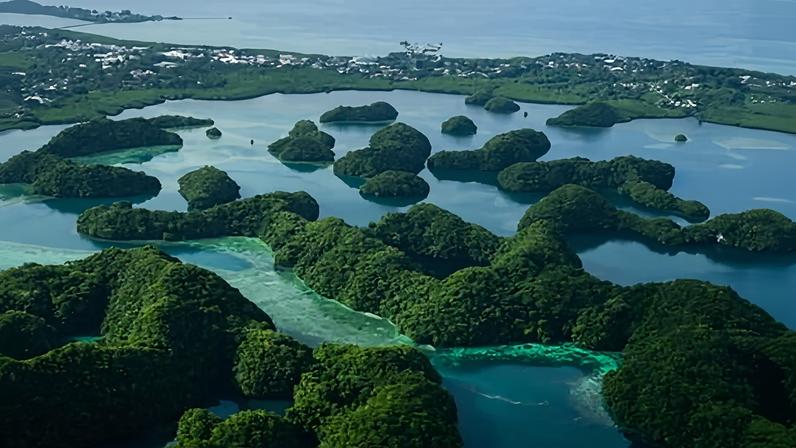 Programmes intended to protect nature in vital ecosystems have been in effect axed, while others have been reduced in scope.