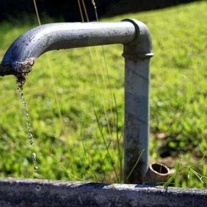 Químicos nocivos devem ser avaliados por classe, não individualmente?