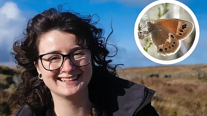 Contagem de borboletas ameaçadas é chave para saúde de pântanos de turfa