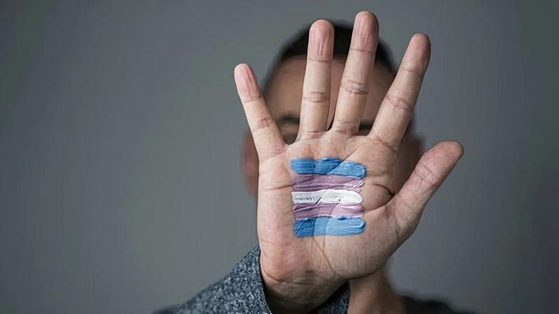 Person displays transgender pride flag painted on their palm