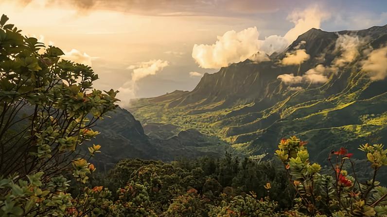 Três mortos após queda de helicóptero turístico na ilha de Kauai