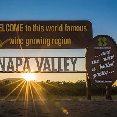 Vinícolas de Napa se adaptam à queda acentuada nas vendas e mudanças de gosto