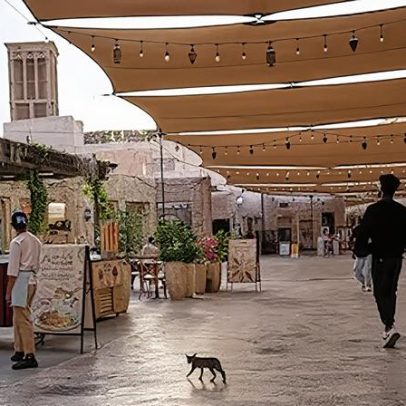 Baterias antiaéreas protegem as costas árabes do Golfo