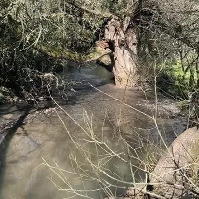 Preocupação com planos de despejar água residual em riacho