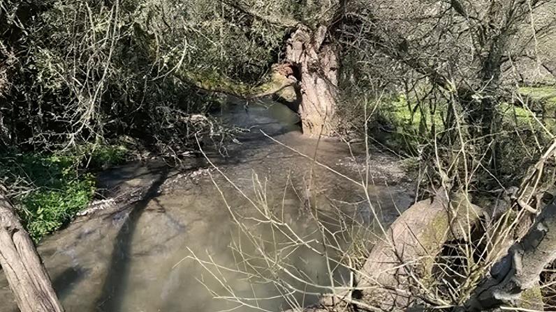 Whitnash Brook flows through the nature reserve, before later joining the River Leam