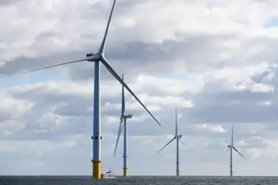 Forestry England inicia etapa inicial de plano para parque eólico