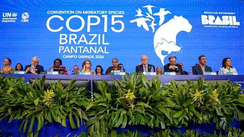 ONU concede proteção internacional a 40 novas espécies migratórias