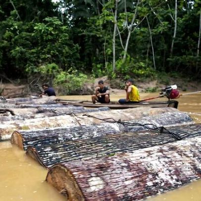 Comissão de Direitos Humanos pede ao Peru proteger povo Kakataibo isolado