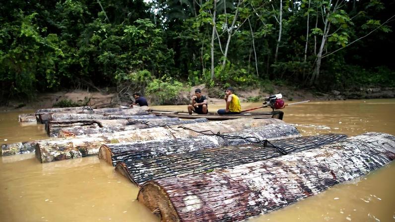 Comissão de Direitos Humanos pede ao Peru proteger povo Kakataibo isolado