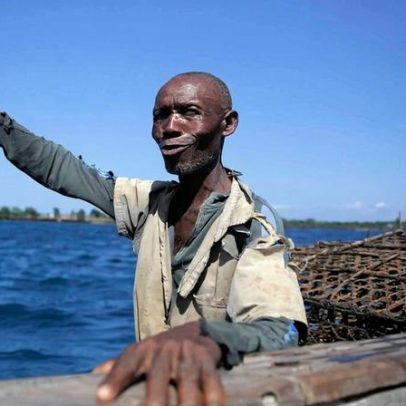Nova estratégia para reverter declínio de tubarões no Quênia busca pescadores