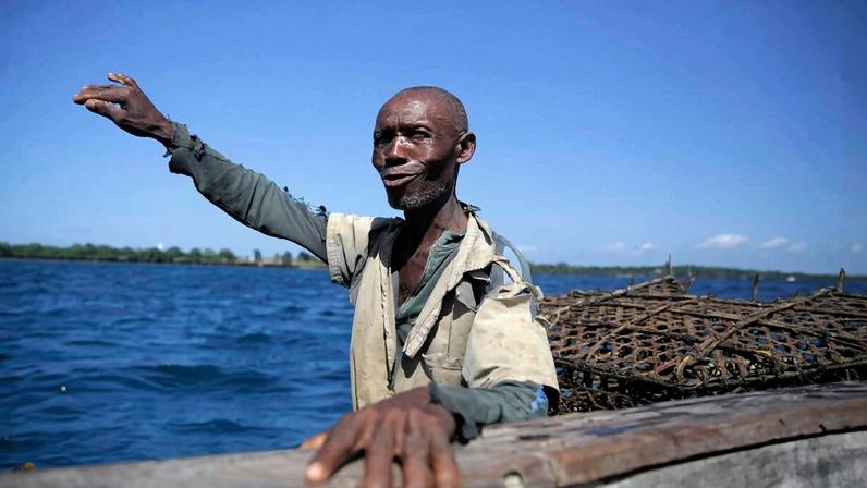 Nova estratégia para reverter declínio de tubarões no Quênia busca pescadores