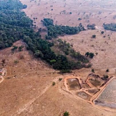 Brasil, agroecologia regenerativa avança, mas desmatamento pressiona ecossistemas