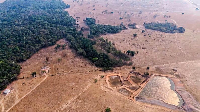 Brasil, agroecologia regenerativa avança, mas desmatamento pressiona ecossistemas