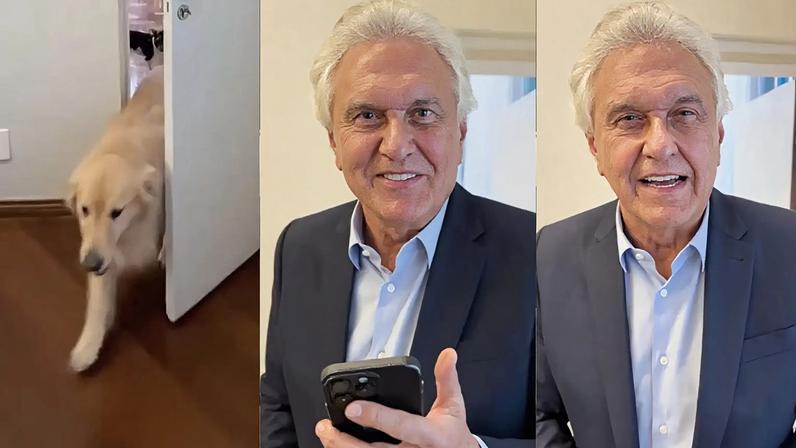 Caiado reage a fala de Lula sobre pets e critica o governo