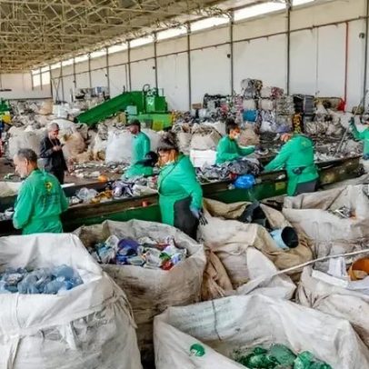 Cooperativas de catadores registram alta de 21% no faturamento