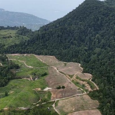 Comunidades indonésias buscam reconquistar terras após revogação de licenças