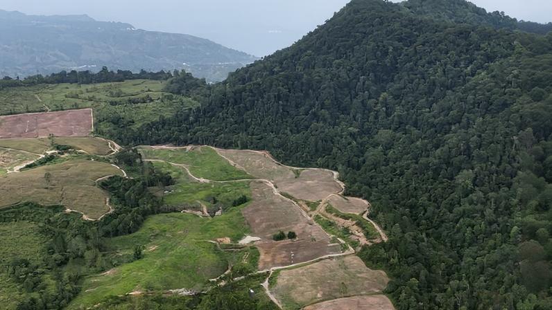 Comunidades indonésias buscam reconquistar terras após revogação de licenças