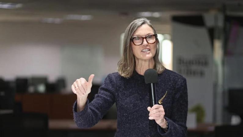 Cathie Wood vê América Latina resiliente a crises e atrativa em cenário volátil