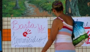 Dandara Oliveira de Paula: trajetória e destaques profissionais
