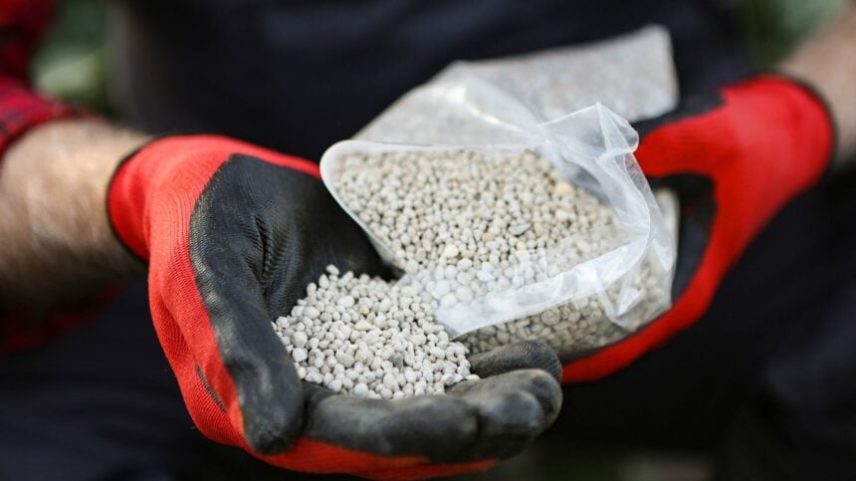 Fertilizantes representam um custo significativo na cadeia do alimento