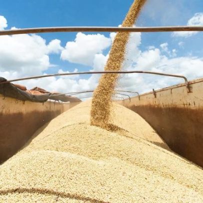 Embarques de soja do Brasil reprovados em inspeções, risco à China