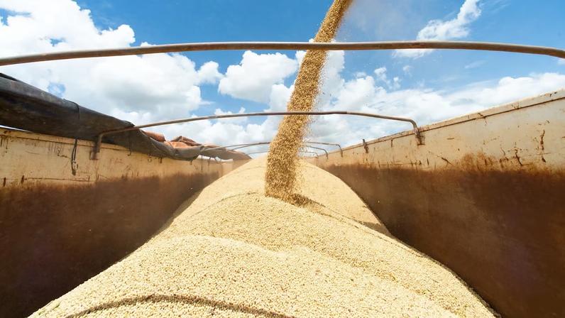 Soja colhida em uma fazenda perto de Brasília, Brasil (Foto: Andressa Anholete/Bloomberg)