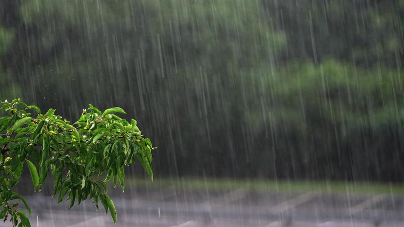 Imagem da notícia Alerta de chuva no litoral de SP, Vale do Paraíba e Sul de Minas