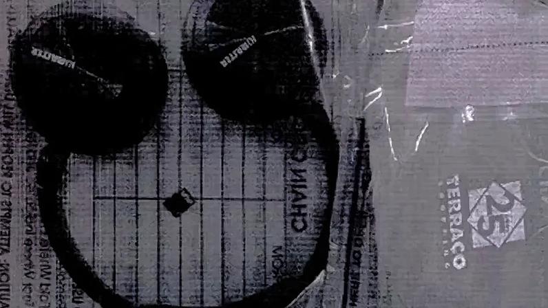 Irmã de 'kid preto' preso tenta levar objetos escondidos em panetone; Foto: Reprodução