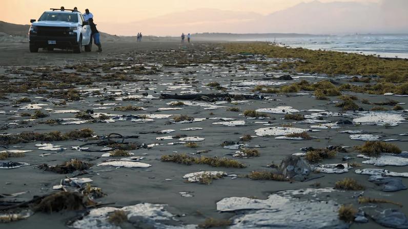 Oil spill hits fishermen and coastal communities in Veracruz